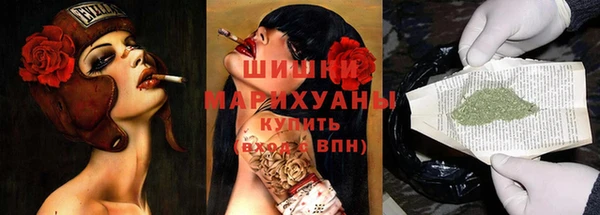 индика Верхний Тагил