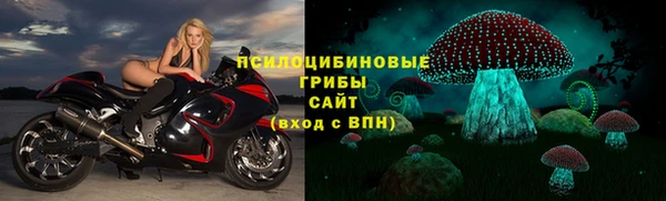 индика Верхний Тагил