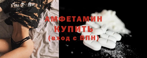индика Верхний Тагил