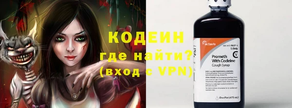 индика Верхний Тагил