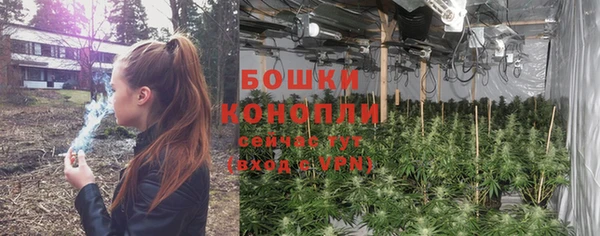 индика Верхний Тагил