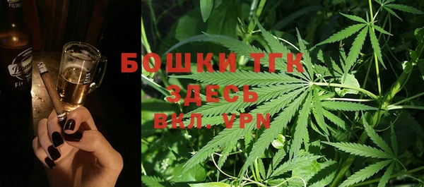 индика Верхний Тагил