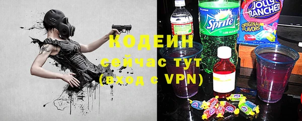 индика Верхний Тагил