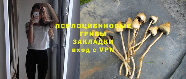 индика Верхний Тагил