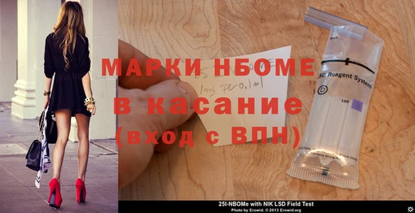 индика Верхний Тагил
