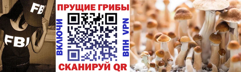Купить  Окуловка  Галлюциногенные грибы мухоморы 